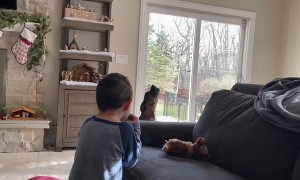 Howling Dog Has the Harmonica Blues