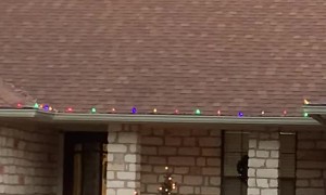 Deer Battles Inflatable Frosty the Snowman