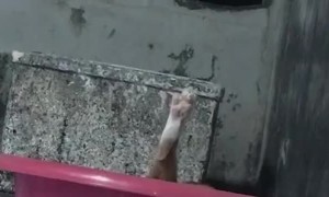 Kitty Leg Sticks Straight Up from Small Empty Pool