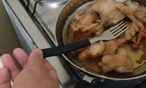 Fork Melts in Cooking Fail