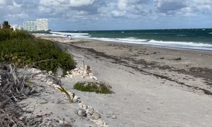 Small Plane Makes Emergency Landing on South Florida Beach