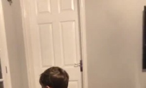 Boy Is Overjoyed with New Socks on Christmas