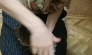 Kitty Climbs Into Fridge to Steal a Snack