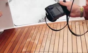 Friendly Sea Lion Hops into Boat