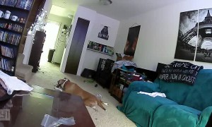 Pup Accidentally Catches Floor on Fire