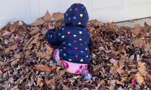 Happy Twins Play in Leaf Pile