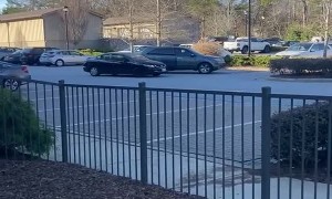 Disagreement in Dog Park Leads to Parked Car Damage