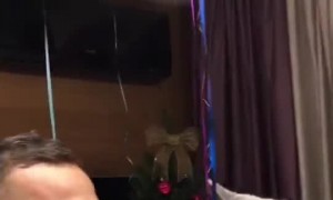 How to Calm Down Your Cat