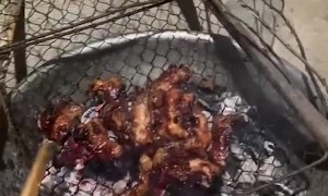 Doggy Drools for Dinner