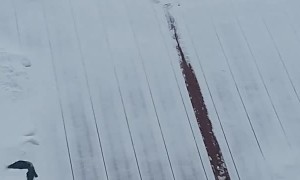 Fumbling Bird Nearly Slides off Snowy Roof
