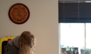 Son Slammed by Knockout Glutes