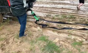 Tough Truck Pulls Semi through Deep Mud