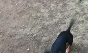 Monday, I dare you to come! 👊🏻