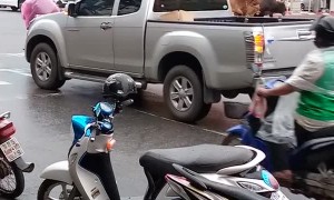 Cows Crossing in Heavy Traffic