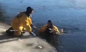 Firefighters rescue dog from icy river in Michigan
