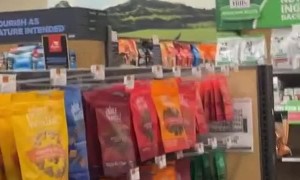 Pet Smart is a Wild Place