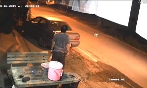 Kitten Has Close Call with Oncoming Car