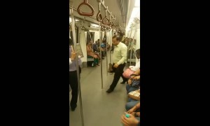 Monkey on Delhi Metro