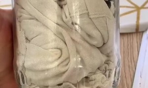 How Pup Practices Low Blood Sugar Alerts