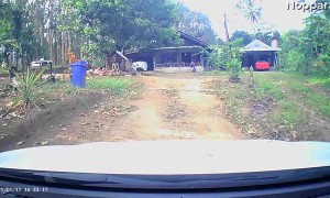 Kiddo Sprints into the Street