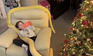 Animal Crossing with an Animal