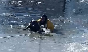 Firefighters rescue dog trapped in icy Colorado pond