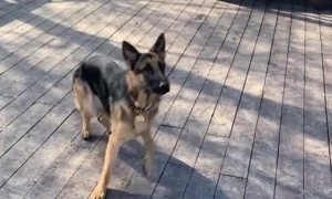 Man Finds Bullet Lodged in His Deck