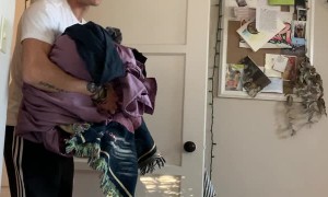 Hyper Dog Makes Weird Noise