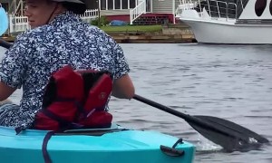 Dolphins Put on a Show for Birthday Boy