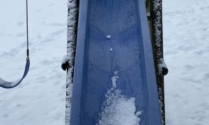 Curious Kitty Slips off Snow Filled Slide
