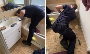Firefighters rescue cat stuck under bathtub
