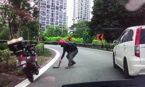 Biker Saves Turtle Crossing the Road