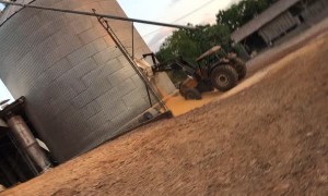 Grain Silo Gives Way Spectacularly