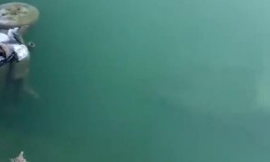 Lake Claims Various Vehicles