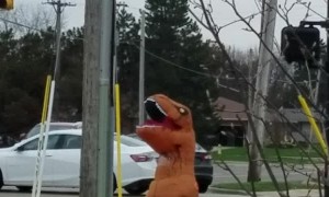 Happy T-Rex Dances at Intersection