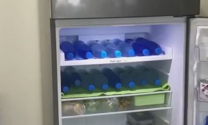 Doggy Cools off in Comfy Fridge