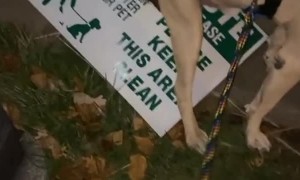 An Ironic Destination for Defecation