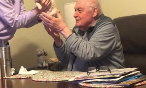 Grandfather Gets a New Furry Friend