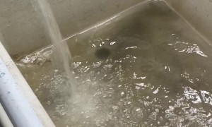 Raising Water Awareness for First Nations People