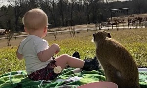 Olive and Bobo See Neighbors During Picnic