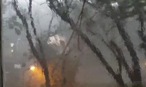 Storm Causes Tree to Fall and Break Window