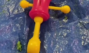 Lost Items Found at the Bottom of Giant Foam Pit