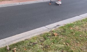Scooter Sends Rider Rolling
