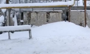 Avalanche Snow Aftermath Covers People
