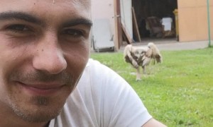 Baby Owl Runs Over To Human Friend When Called