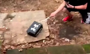 Family Relocates Sleepy Bat