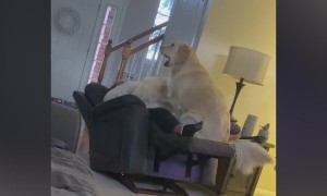 There's No I In Team