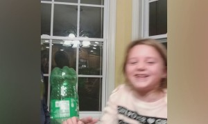 Still Home Still Bored