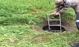 Rescuing a Fallen Hog from a Hole