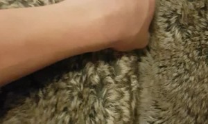 Vicious Beast Defends its Lair